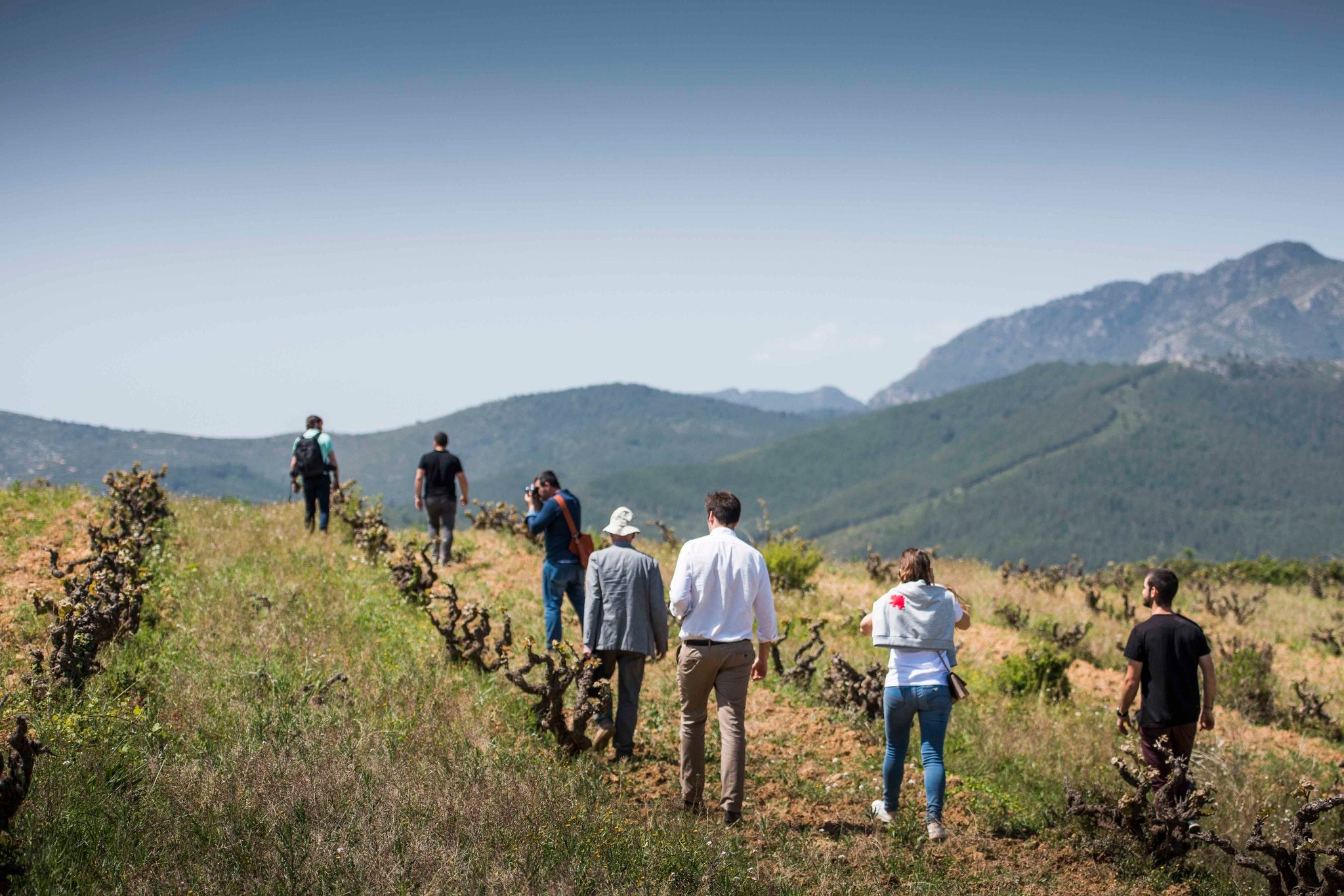 A group of people walking around the vineyard at Can Sumoi