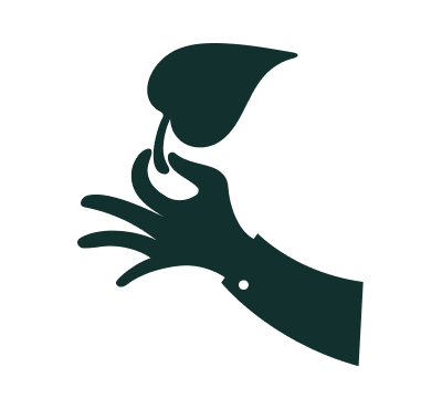 Hand holding a leaf with the thumb and index finger